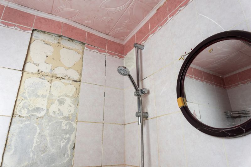 Top Shower Remodeling Companies in Lakeville, MN